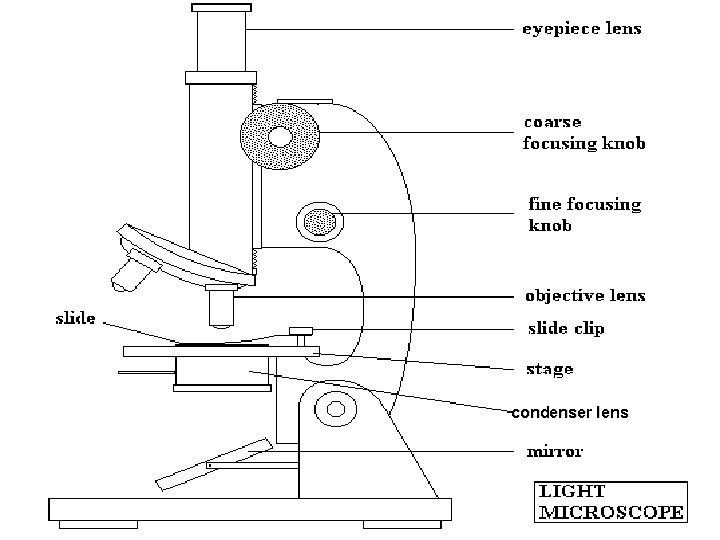 condenser lens 