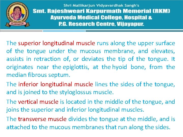 The superior longitudinal muscle runs along the upper surface of the tongue under the
