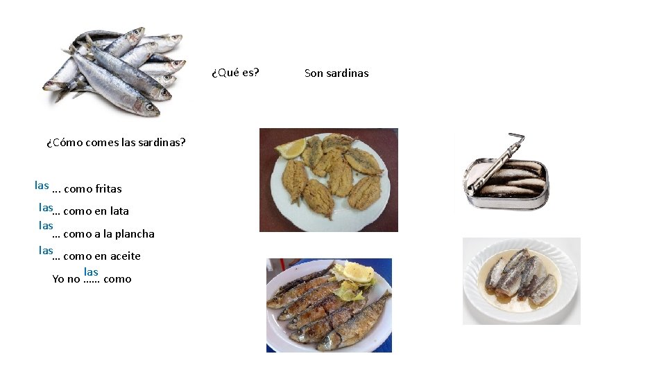¿Qué es? ¿Cómo comes las sardinas? las. . . como fritas las… como en