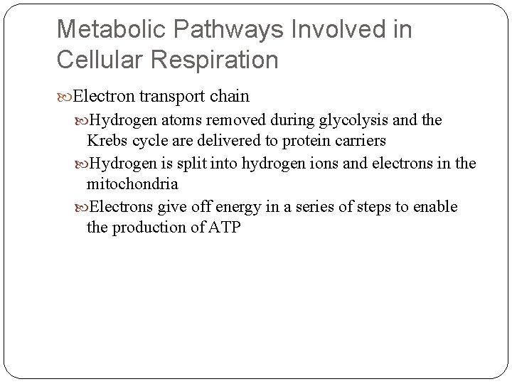 Metabolic Pathways Involved in Cellular Respiration Electron transport chain Hydrogen atoms removed during glycolysis