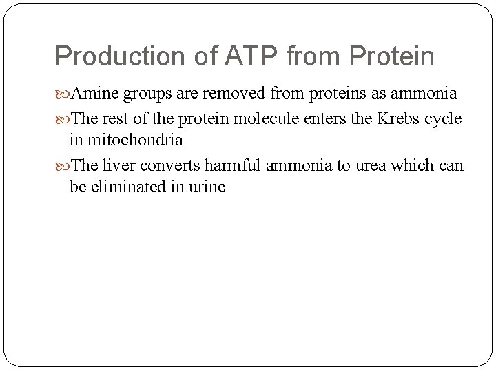 Production of ATP from Protein Amine groups are removed from proteins as ammonia The