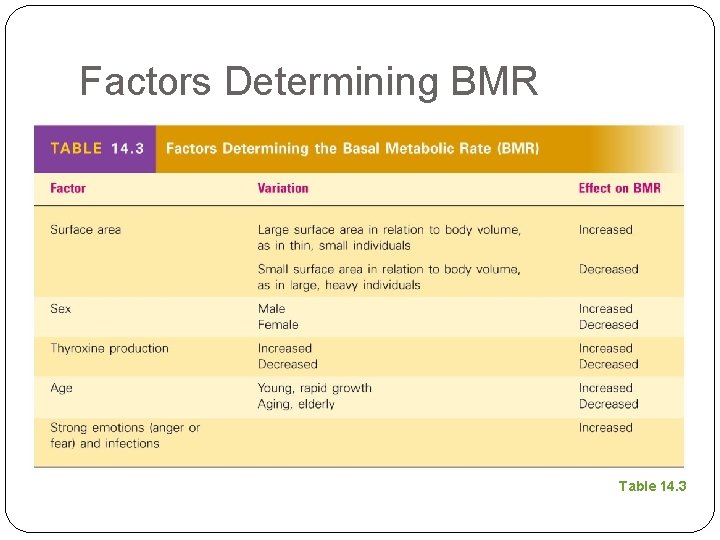 Factors Determining BMR Table 14. 3 