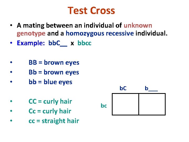 Test Cross • A mating between an individual of unknown genotype and a homozygous