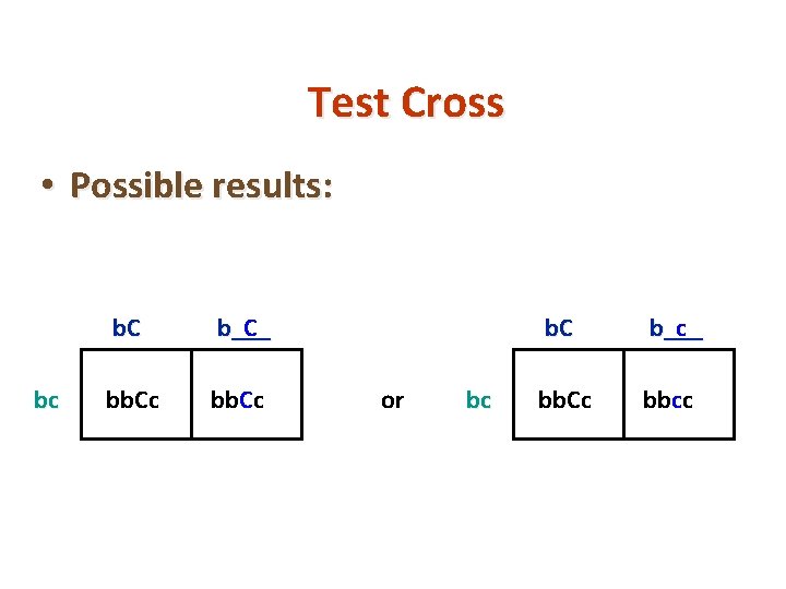 Test Cross • Possible results: bc b. C b___ C bb. Cc or copyright