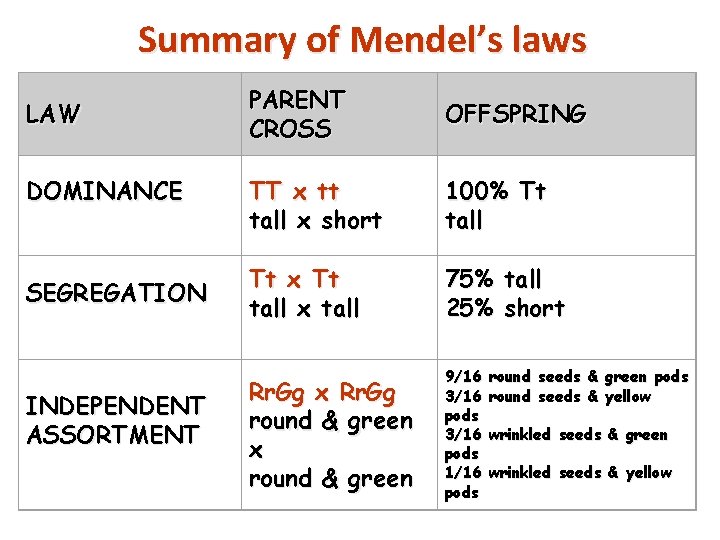 Summary of Mendel’s laws LAW DOMINANCE SEGREGATION INDEPENDENT ASSORTMENT PARENT CROSS OFFSPRING TT x