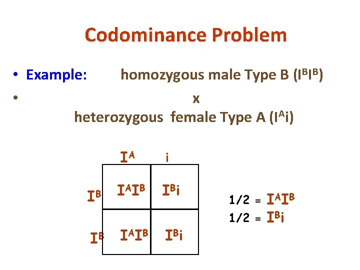 Codominance Problem • Example: homozygous male Type B (IBIB) • x heterozygous female Type
