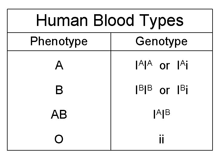 Human Blood Types Phenotype Genotype A IAIA or IAi B IBIB or IBi AB