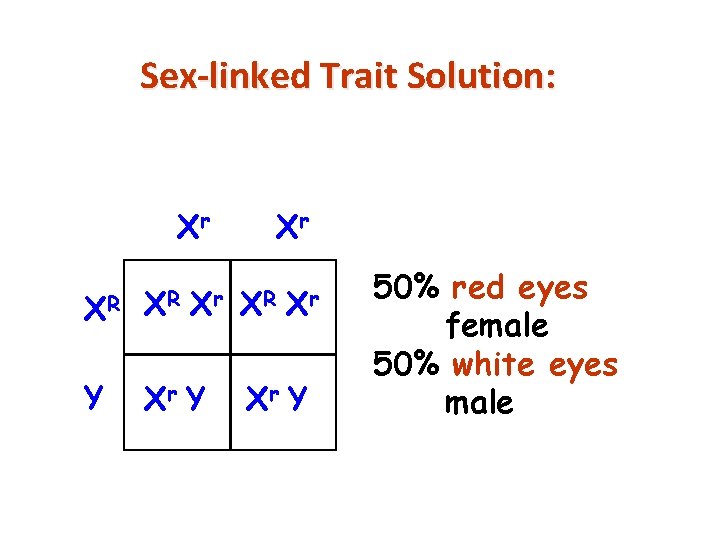 Sex-linked Trait Solution: Xr XR XR Xr Y Xr XR Xr Xr Y 50%