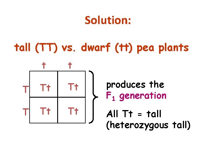 Solution: tall (TT) vs. dwarf (tt) pea plants t t T Tt Tt produces