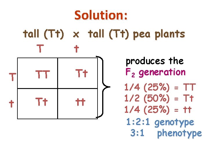 Solution: tall (Tt) x tall (Tt) pea plants T t T TT Tt tt