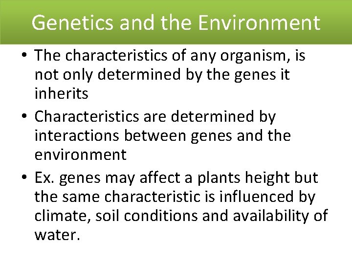 Genetics and the Environment • The characteristics of any organism, is not only determined