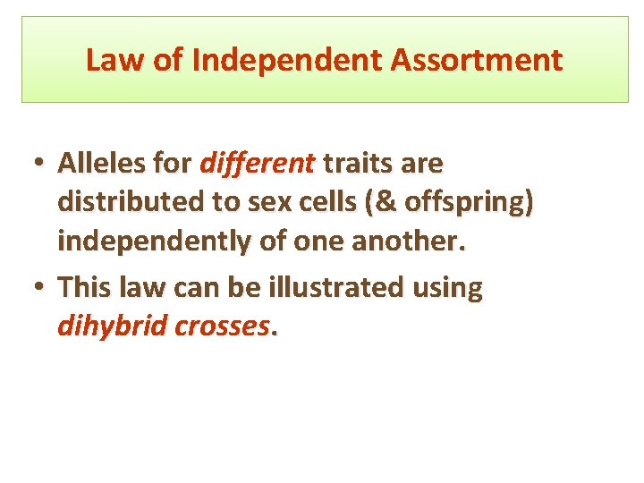 Law of Independent Assortment • Alleles for different traits are distributed to sex cells