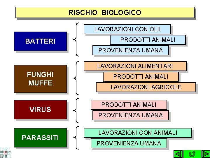 RISCHIO BIOLOGICO LAVORAZIONI CON OLII BATTERI PRODOTTI ANIMALI PROVENIENZA UMANA LAVORAZIONI ALIMENTARI FUNGHI MUFFE