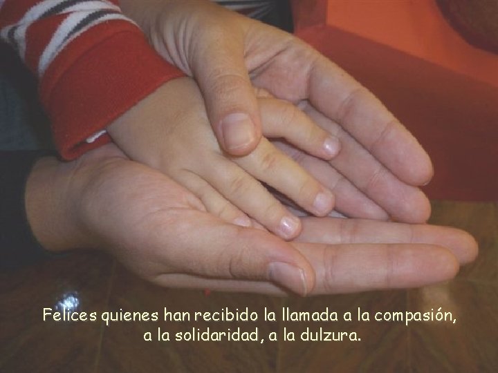 Felices quienes han recibido la llamada a la compasión, a la solidaridad, a la