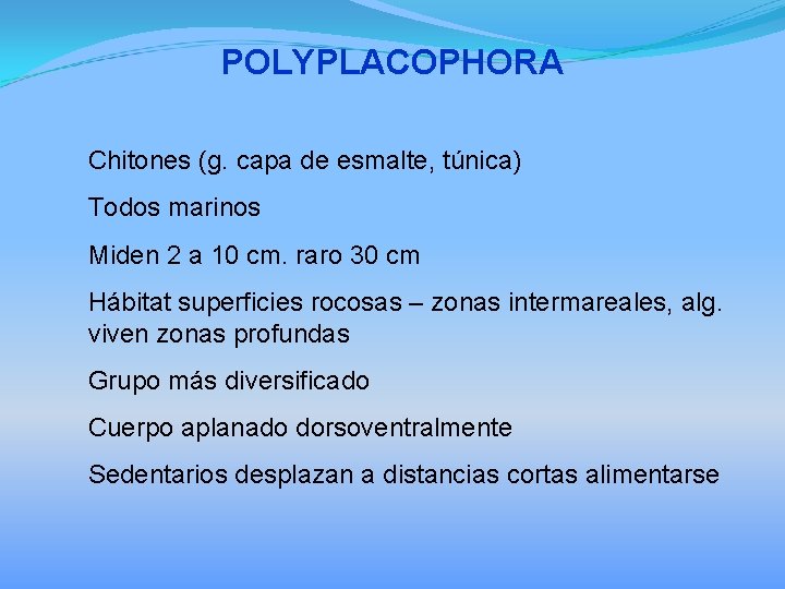 POLYPLACOPHORA Chitones (g. capa de esmalte, túnica) Todos marinos Miden 2 a 10 cm.