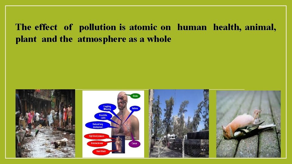 The effect of pollution is atomic on human health, animal, plant and the atmosphere