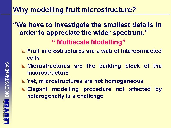 Why modelling fruit microstructure? BIOSYST-Me. Bio. S “We have to investigate the smallest details