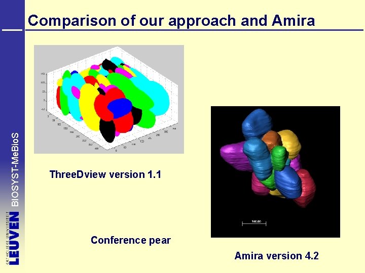 BIOSYST-Me. Bio. S Comparison of our approach and Amira Three. Dview version 1. 1