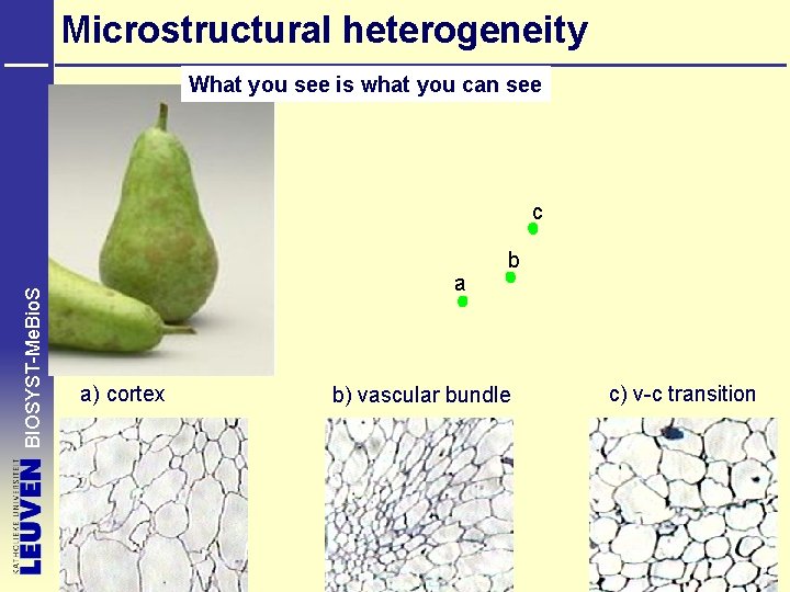 Microstructural heterogeneity What you see is what you can see BIOSYST-Me. Bio. S c