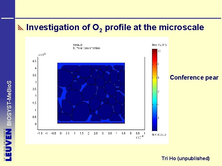 BIOSYST-Me. Bio. S Investigation of O 2 profile at the microscale Conference pear Tri