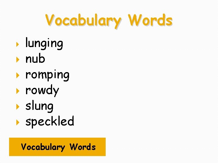 Vocabulary Words lunging nub romping rowdy slung speckled Vocabulary Words 