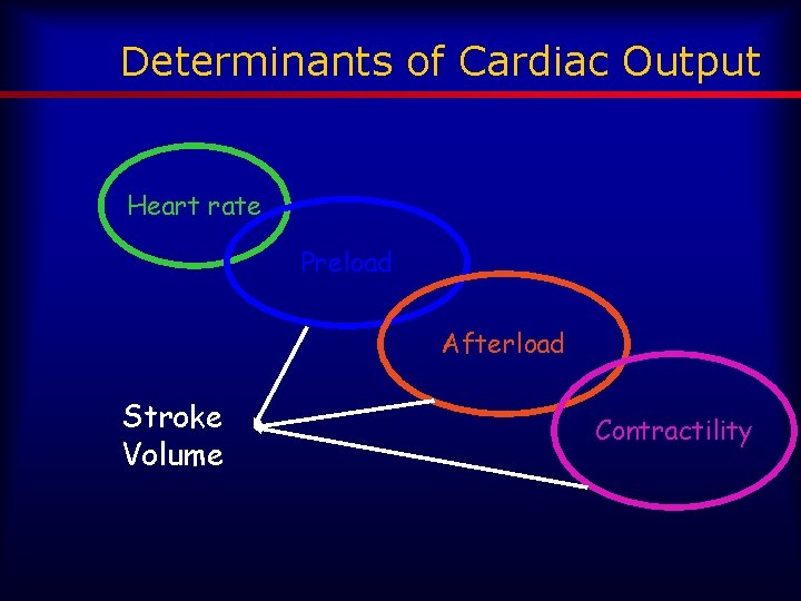 Determinants of Cardiac Output Heart rate Preload Afterload Stroke Volume Contractility 