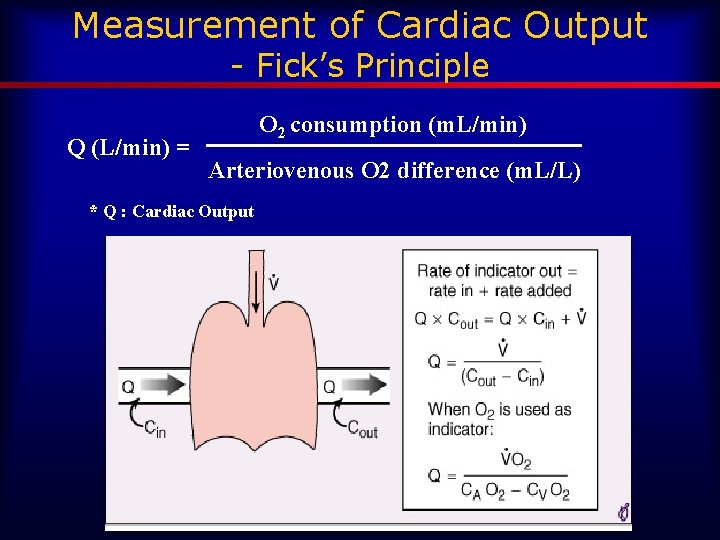 Measurement of Cardiac Output - Fick’s Principle Q (L/min) = O 2 consumption (m.