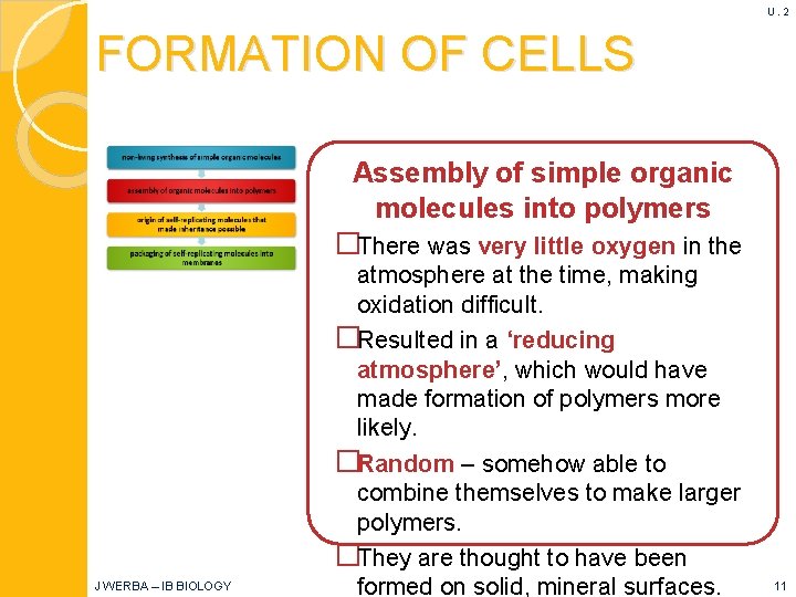 U. 2 FORMATION OF CELLS Assembly of simple organic molecules into polymers �There was