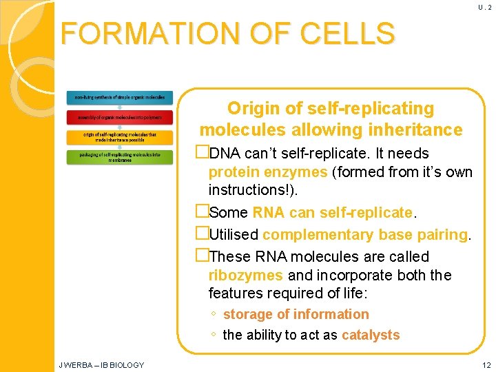 U. 2 FORMATION OF CELLS Origin of self-replicating molecules allowing inheritance �DNA can’t self-replicate.