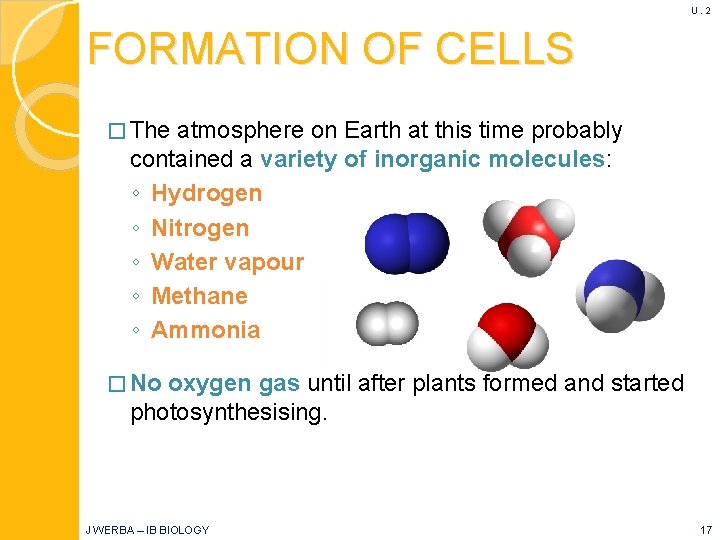 U. 2 FORMATION OF CELLS � The atmosphere on Earth at this time probably