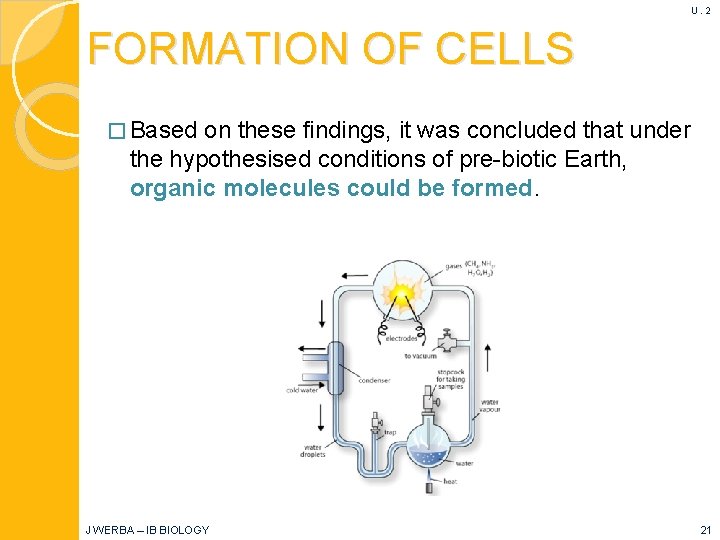 U. 2 FORMATION OF CELLS � Based on these findings, it was concluded that