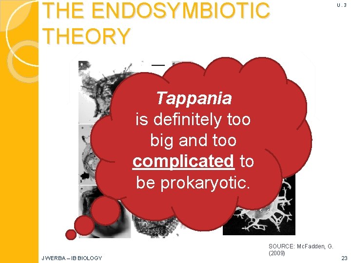 THE ENDOSYMBIOTIC THEORY U. 3 Tappania is definitely too big and too complicated to