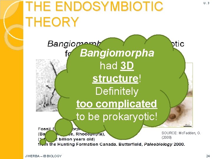 THE ENDOSYMBIOTIC THEORY U. 3 Bangiomorpha had 3 D structure! Definitely too complicated to