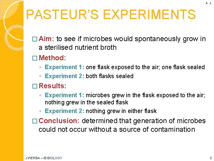 A. 1 PASTEUR’S EXPERIMENTS � Aim: to see if microbes would spontaneously grow in
