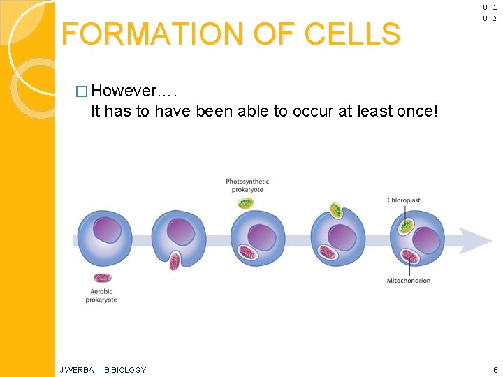 FORMATION OF CELLS U. 1 U. 2 � However…. It has to have been