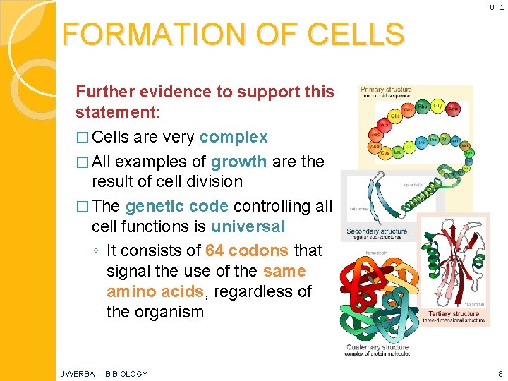 U. 1 FORMATION OF CELLS Further evidence to support this statement: � Cells are