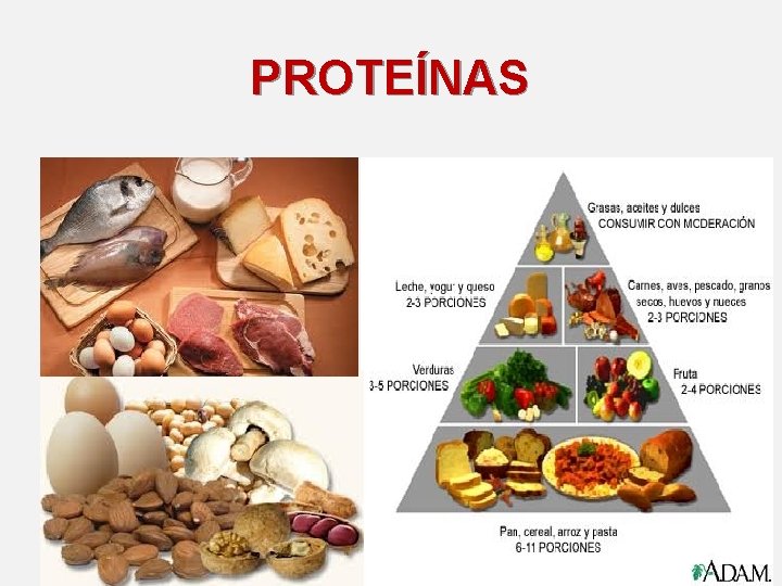 PROTEÍNAS 