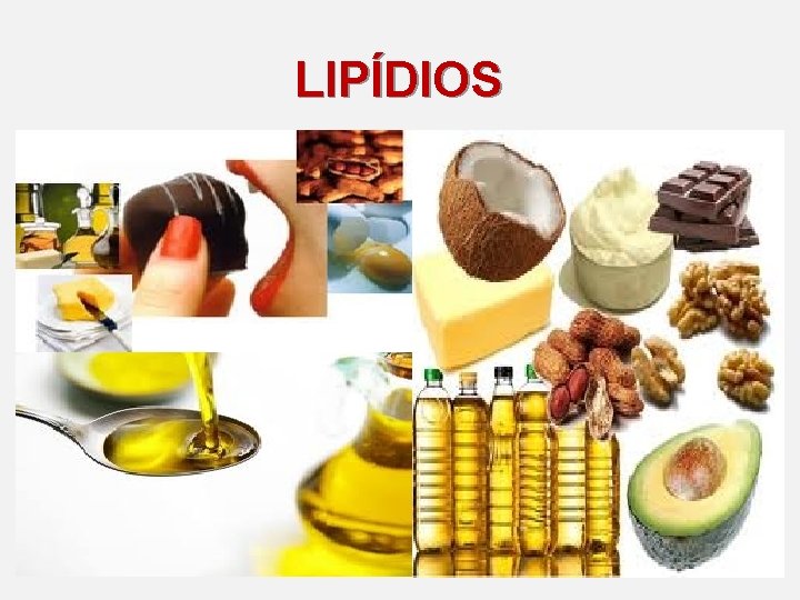 LIPÍDIOS 