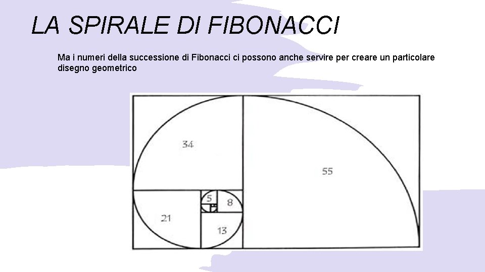 LA SPIRALE DI FIBONACCI Ma i numeri della successione di Fibonacci ci possono anche