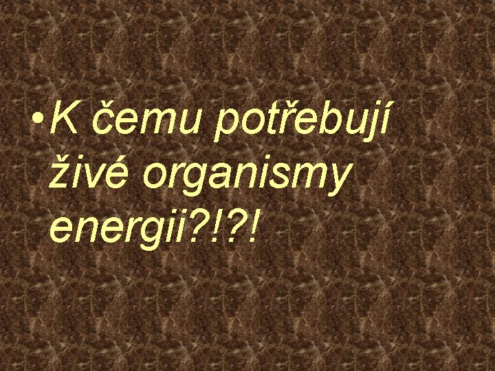  • K čemu potřebují živé organismy energii? !? ! 