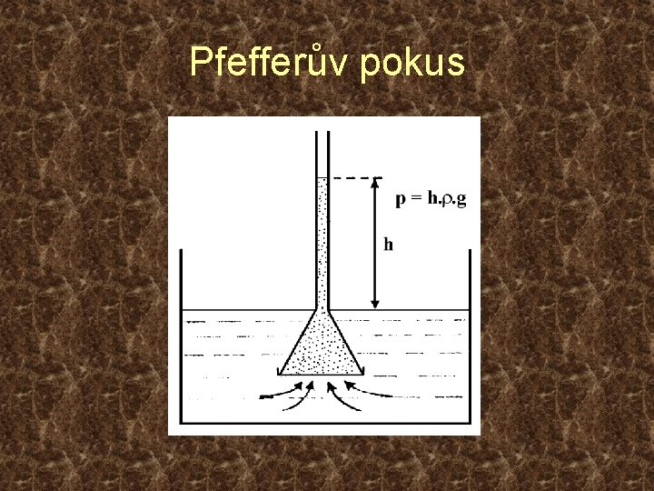 Pfefferův pokus 