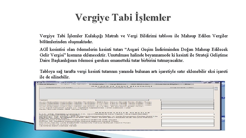 Vergiye Tabi İşlemler Kulakçığı Matrah ve Vergi Bildirimi tablosu ile Mahsup Edilen Vergiler bölümlerinden