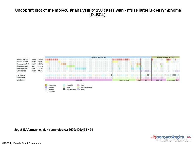Oncoprint plot of the molecular analysis of 250 cases with diffuse large B-cell lymphoma