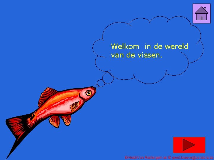 Welkom in de wereld van de vissen. © Heidi Van Rentergem en © geert.