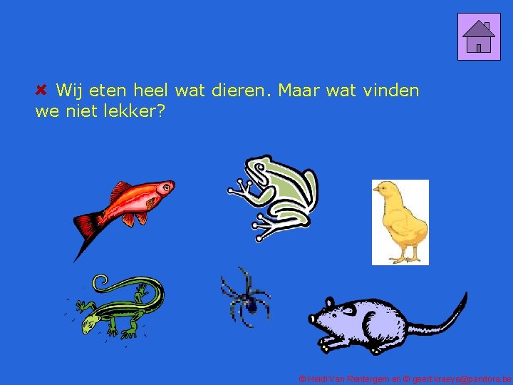 Wij eten heel wat dieren. Maar wat vinden we niet lekker? © Heidi Van