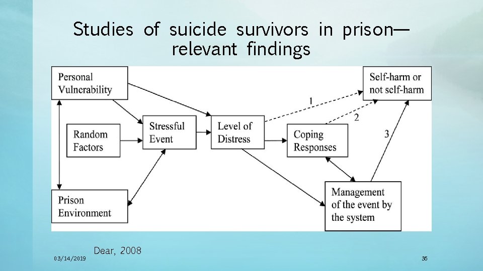 Studies of suicide survivors in prison— relevant findings 03/14/2019 Dear, 2008 36 