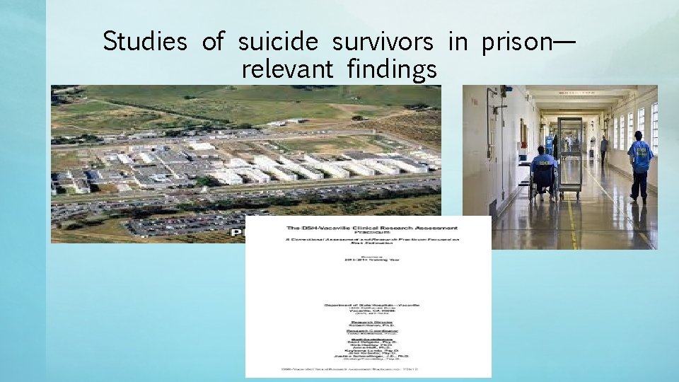 Studies of suicide survivors in prison— relevant findings 