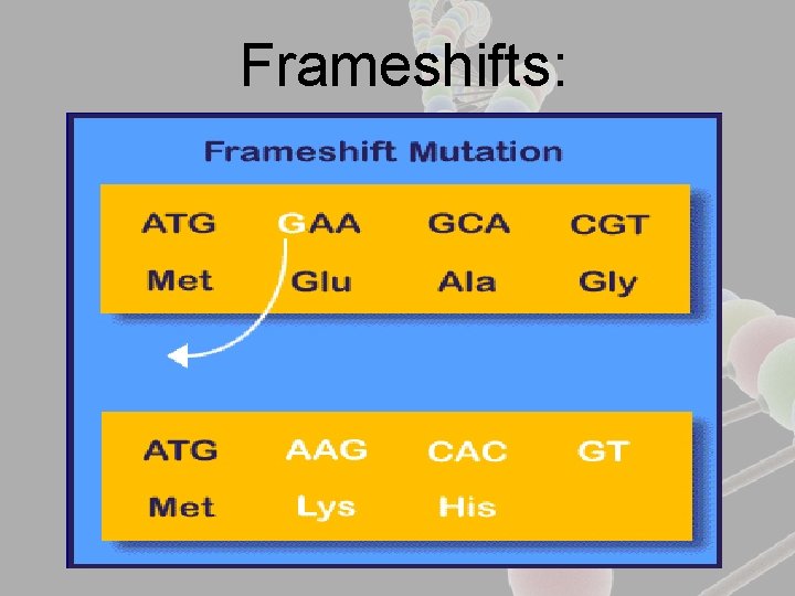 Frameshifts: 