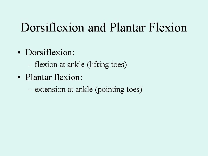 Dorsiflexion and Plantar Flexion • Dorsiflexion: – flexion at ankle (lifting toes) • Plantar