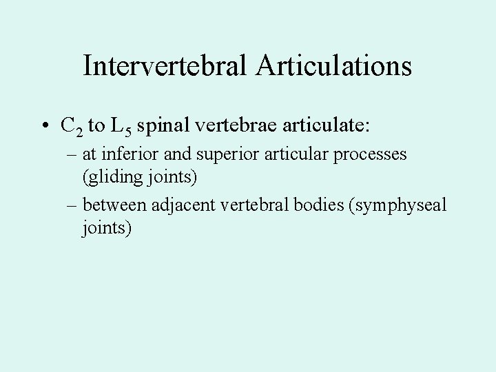 Intervertebral Articulations • C 2 to L 5 spinal vertebrae articulate: – at inferior